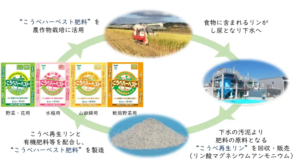 資源循環(再生リン)